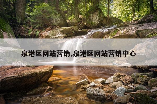 泉港区网站营销,泉港区网站营销中心