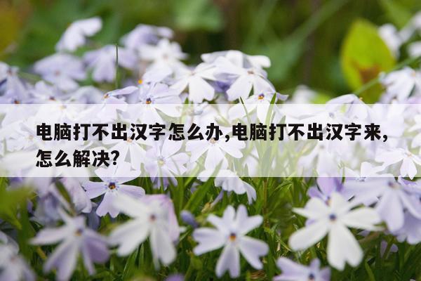 电脑打不出汉字怎么办,电脑打不出汉字来,怎么解决?