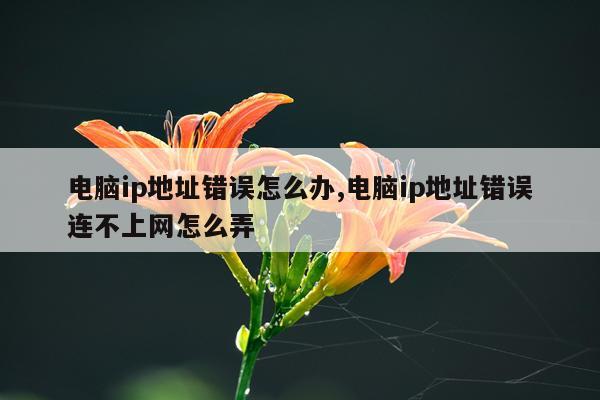 电脑ip地址错误怎么办,电脑ip地址错误连不上网怎么弄