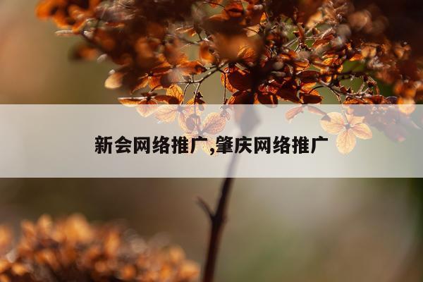 新会网络推广,肇庆网络推广