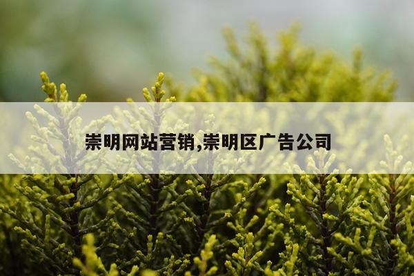 崇明网站营销,崇明区广告公司