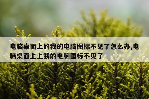 电脑桌面上的我的电脑图标不见了怎么办,电脑桌面上上我的电脑图标不见了