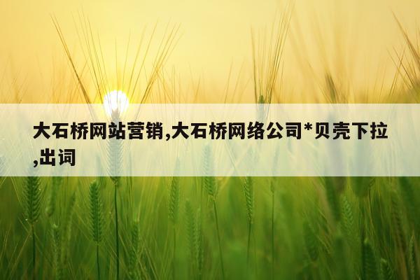 大石桥网站营销,大石桥网络公司*贝壳下拉,出词