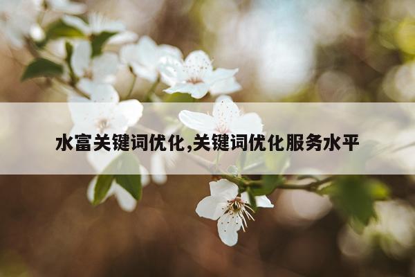 水富关键词优化,关键词优化服务水平