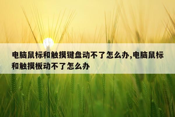 电脑鼠标和触摸键盘动不了怎么办,电脑鼠标和触摸板动不了怎么办