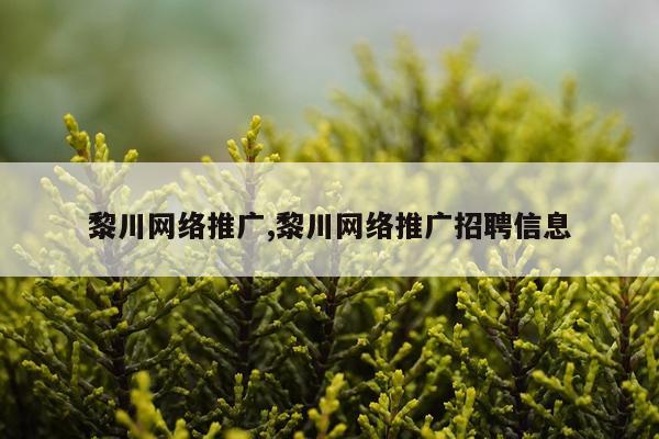 黎川网络推广,黎川网络推广招聘信息