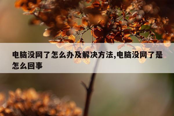 电脑没网了怎么办及解决方法,电脑没网了是怎么回事