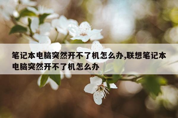 笔记本电脑突然开不了机怎么办,联想笔记本电脑突然开不了机怎么办