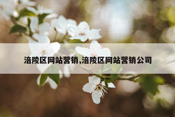 涪陵区网站营销,涪陵区网站营销公司