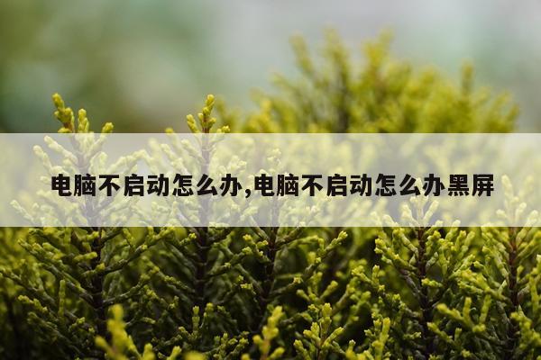 电脑不启动怎么办,电脑不启动怎么办黑屏