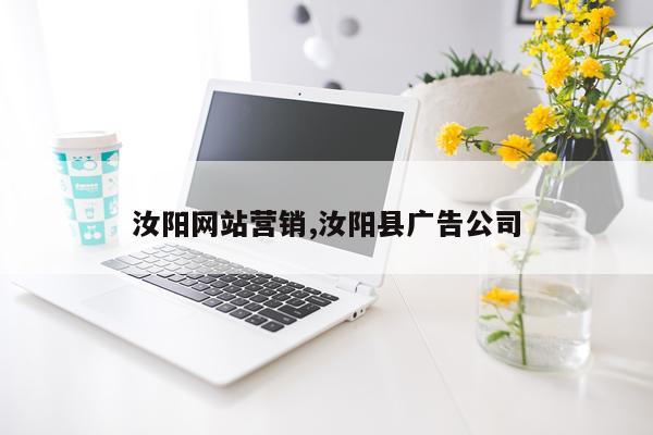 汝阳网站营销,汝阳县广告公司