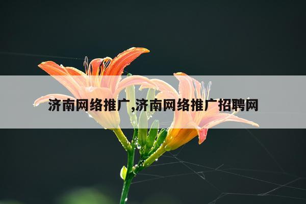 济南网络推广,济南网络推广招聘网