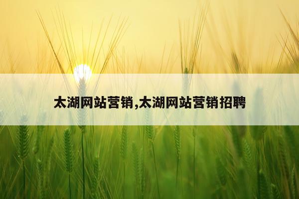 太湖网站营销,太湖网站营销招聘