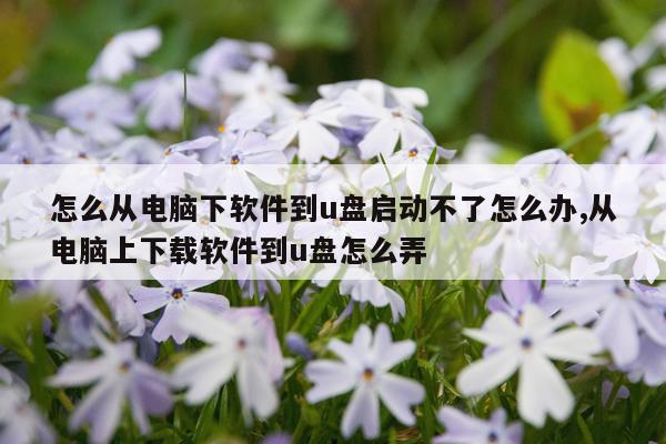怎么从电脑下软件到u盘启动不了怎么办,从电脑上下载软件到u盘怎么弄