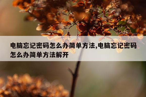 电脑忘记密码怎么办简单方法,电脑忘记密码怎么办简单方法解开