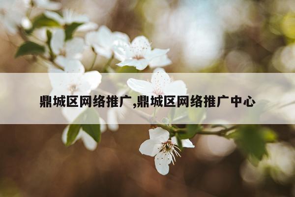 鼎城区网络推广,鼎城区网络推广中心