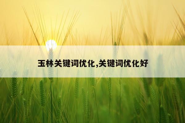 玉林关键词优化,关键词优化好