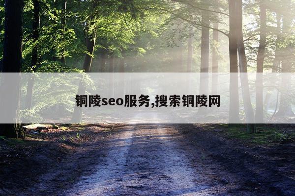 铜陵seo服务,搜索铜陵网
