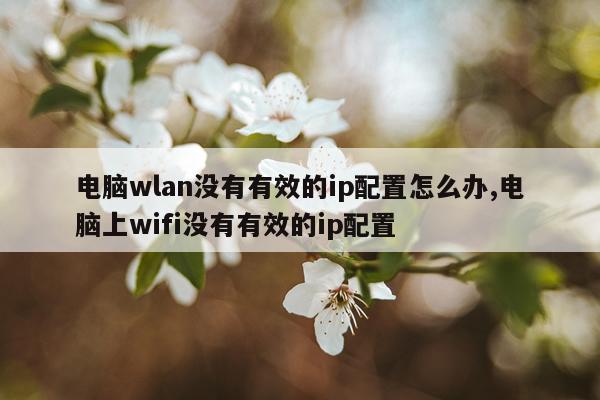 电脑wlan没有有效的ip配置怎么办,电脑上wifi没有有效的ip配置