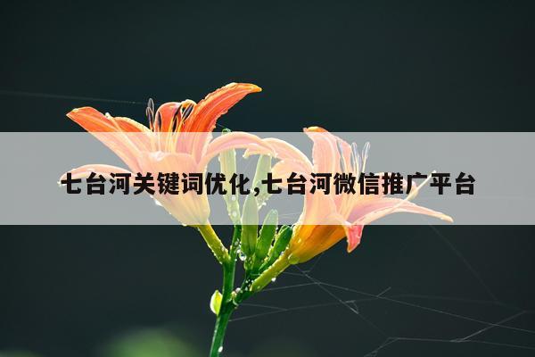 七台河关键词优化,七台河微信推广平台