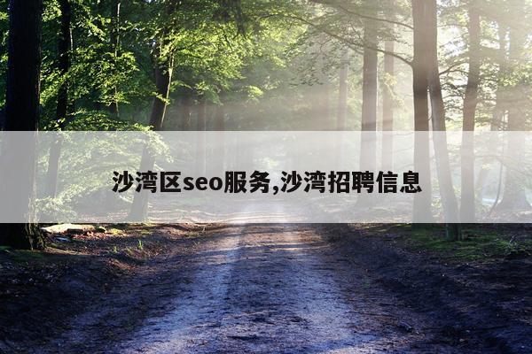 沙湾区seo服务,沙湾招聘信息