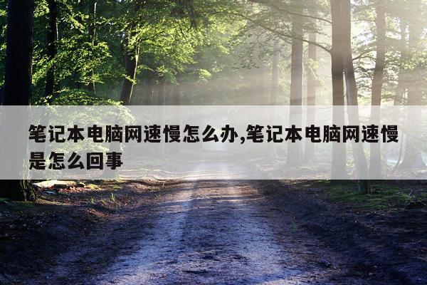 笔记本电脑网速慢怎么办,笔记本电脑网速慢是怎么回事