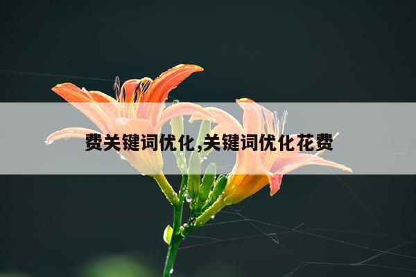 费关键词优化,关键词优化花费