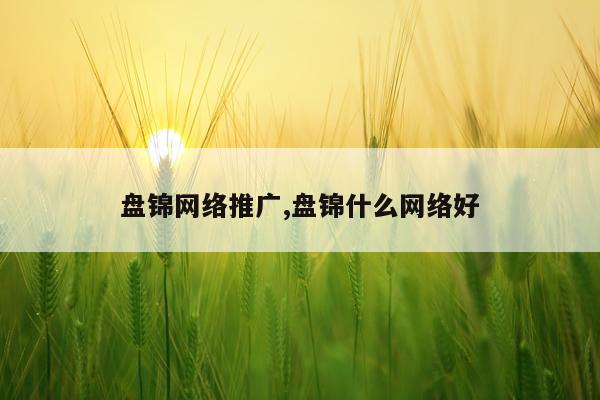 盘锦网络推广,盘锦什么网络好