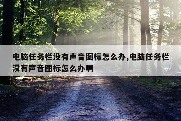 电脑任务栏没有声音图标怎么办,电脑任务栏没有声音图标怎么办啊