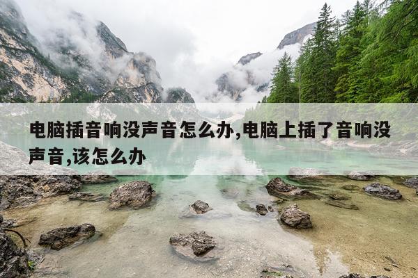 电脑插音响没声音怎么办,电脑上插了音响没声音,该怎么办