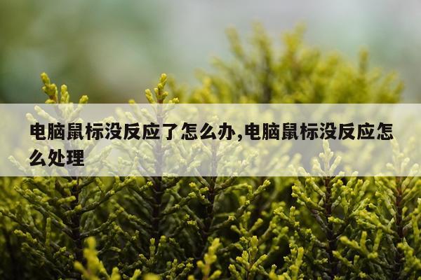 电脑鼠标没反应了怎么办,电脑鼠标没反应怎么处理