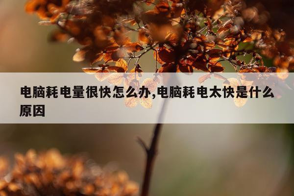 电脑耗电量很快怎么办,电脑耗电太快是什么原因