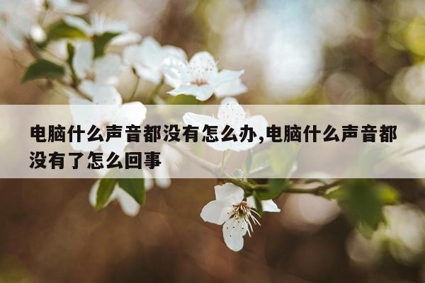 电脑什么声音都没有怎么办,电脑什么声音都没有了怎么回事