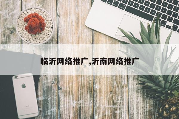 临沂网络推广,沂南网络推广