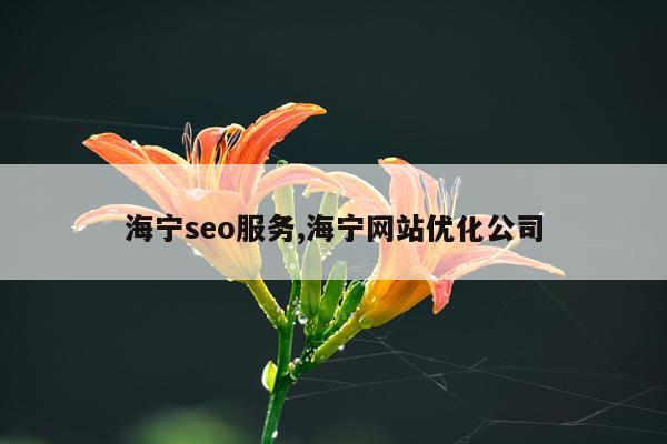 海宁seo服务,海宁网站优化公司