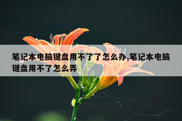 笔记本电脑键盘用不了了怎么办,笔记本电脑键盘用不了怎么弄
