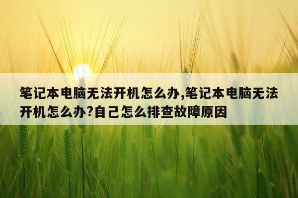 笔记本电脑无法开机怎么办,笔记本电脑无法开机怎么办?自己怎么排查故障原因