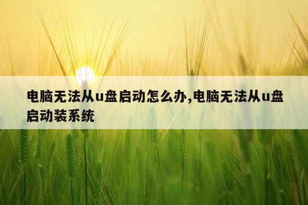 电脑无法从u盘启动怎么办,电脑无法从u盘启动装系统