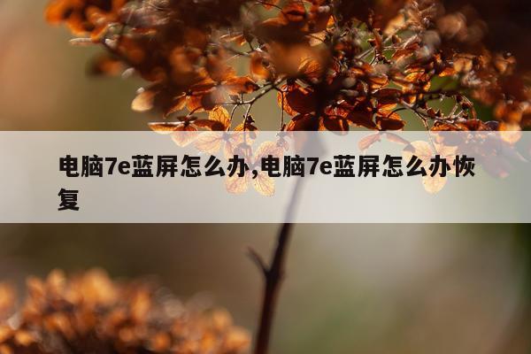 电脑7e蓝屏怎么办,电脑7e蓝屏怎么办恢复