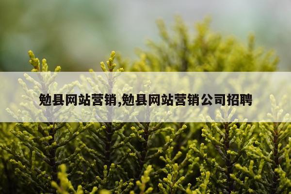 勉县网站营销,勉县网站营销公司招聘