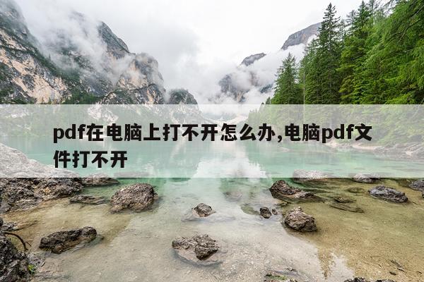 pdf在电脑上打不开怎么办,电脑pdf文件打不开