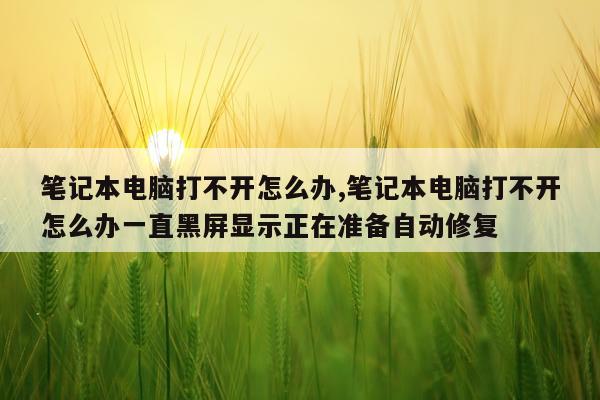 笔记本电脑打不开怎么办,笔记本电脑打不开怎么办一直黑屏显示正在准备自动修复