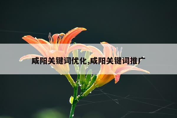 咸阳关键词优化,咸阳关键词推广