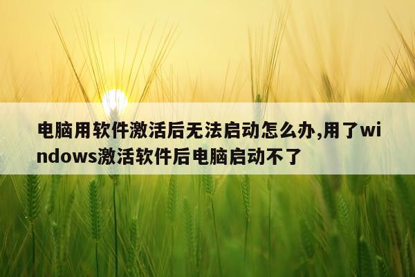 电脑用软件激活后无法启动怎么办,用了windows激活软件后电脑启动不了
