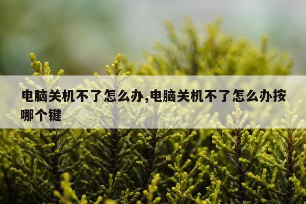 电脑关机不了怎么办,电脑关机不了怎么办按哪个键