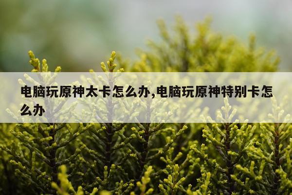 电脑玩原神太卡怎么办,电脑玩原神特别卡怎么办