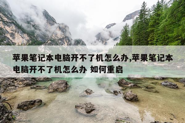 苹果笔记本电脑开不了机怎么办,苹果笔记本电脑开不了机怎么办 如何重启