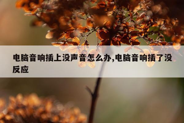 电脑音响插上没声音怎么办,电脑音响插了没反应