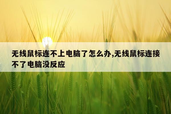无线鼠标连不上电脑了怎么办,无线鼠标连接不了电脑没反应