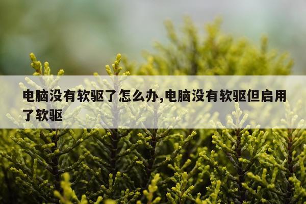 电脑没有软驱了怎么办,电脑没有软驱但启用了软驱